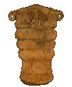050.jpg