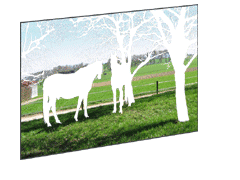 �摜�̔����Ă��镔�����C�����܂�