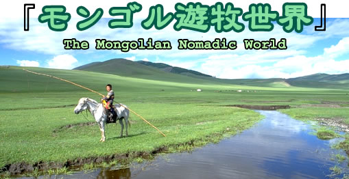 �����S���V�q���E